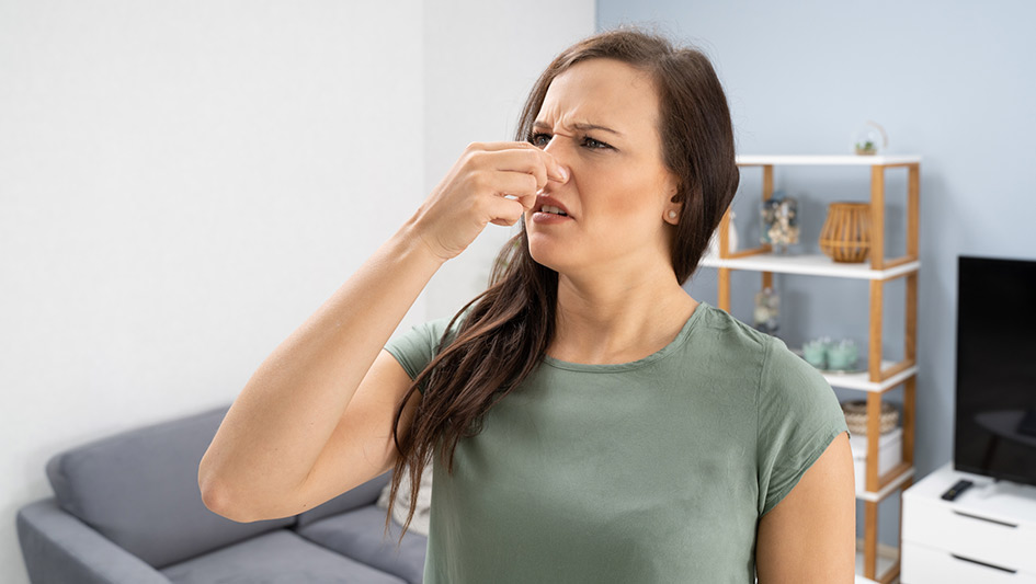 Six Common Air Conditioner Smells Answered and How to Solve the Issue